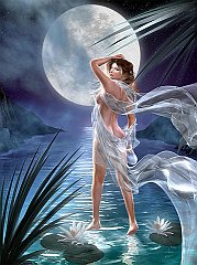 Fantasy (91)